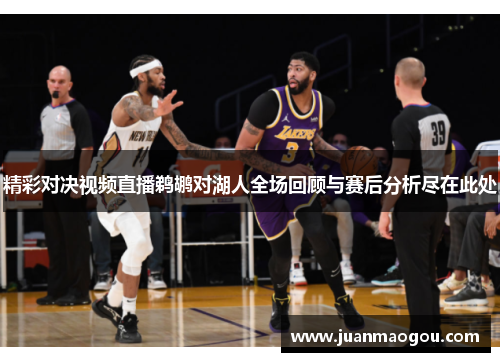 精彩对决视频直播鹈鹕对湖人全场回顾与赛后分析尽在此处